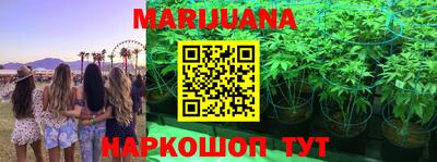 МДПВ Славгород