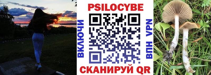 где купить наркотик  Сертолово  Галлюциногенные грибы GOLDEN TEACHER 