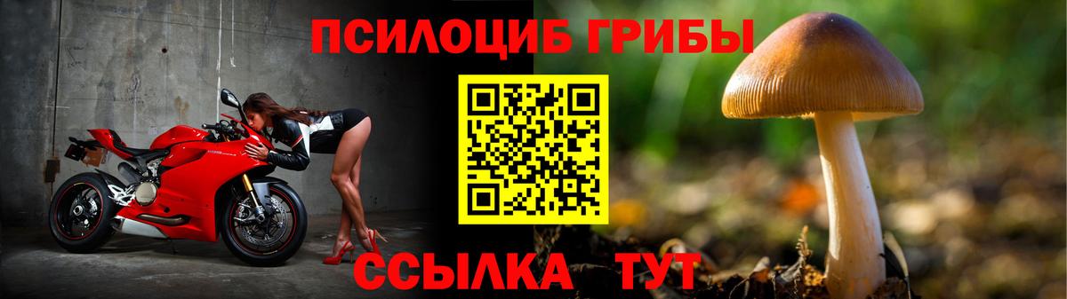 Сертолово  Галлюциногенные грибы Psilocybine cubensis  Вход с VPN 